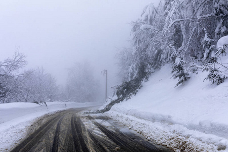 冬天，穿过森林的道路覆盖着白雪