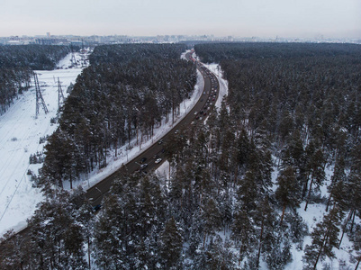 冬季道路的鸟图