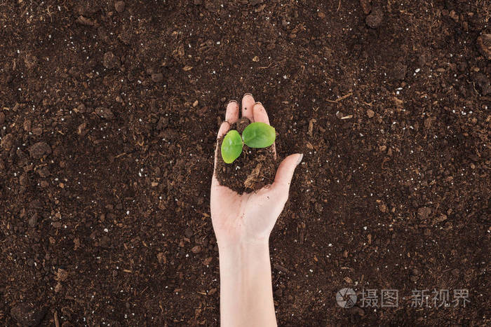 以绿色植物为手的妇女扶地观保护自然的理念