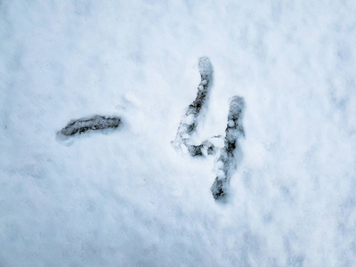 温度4 写在刚刚落下的雪