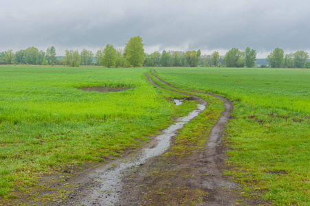 雨季乌克兰中部农田和乡村道路景观