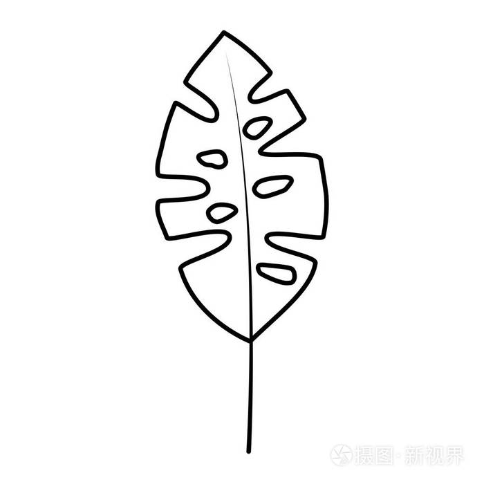 热带植物叶子简笔画图片