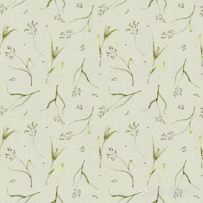 在温和的绿色背景下,田间草本植物的无缝图案.