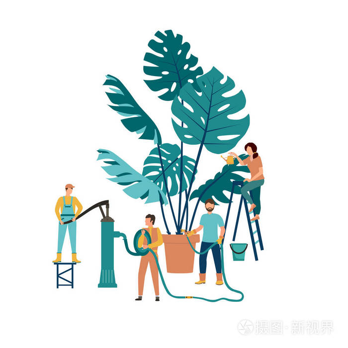 园丁照顾花园的生长和研究植物,一个人用软管浇水.