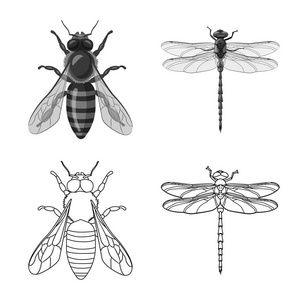 昆虫和飞行符号的向量例证。股票昆虫和元素矢量图标集