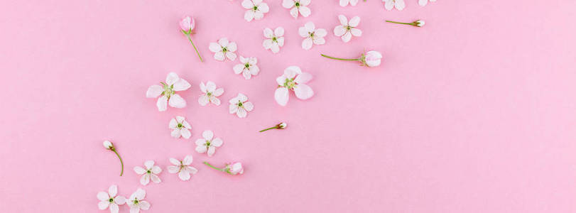 创意顶景樱花盛开的花朵框架图案,千禧年粉红色背景,复制空间,以最小