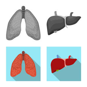 人体和人体标志的矢量设计。身体和医学股票向量例证的汇集