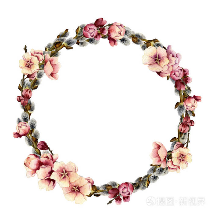 嫩嫩的春柳花圈 梅花粉红色的花朵 用水彩画出来 在白色的背景上隔离开来照片 正版商用图片1867dq 摄图新视界 嫩嫩的春柳花圈 梅花粉红色的花朵 用水彩画出来 在白色的背景上隔离开来照片 正版商用图片1867dq 摄图新视界
