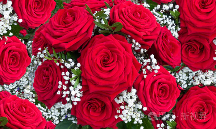 红玫瑰与白蔷薇近距离插花照片 正版商用图片1869ih 摄图新视界