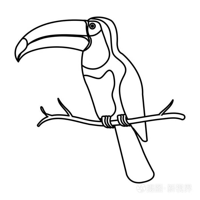 巨嘴鸟奇特鸟图标插画-正版商用图片186dof-摄图新视界