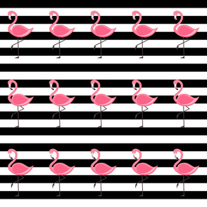 黑白背景下粉红色火烈鸟的矢量插图和图案