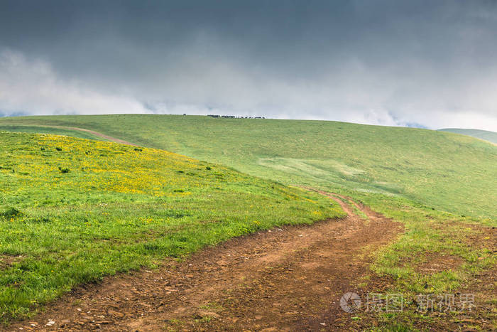 宁静的高地风景,泥土蜿蜒的乡村道路,在绿色的起伏的山丘上,黄色的