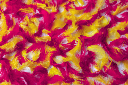 柔软蓬松的鸟羽的五颜六色背景 红色 黄色和粉红色羽毛的纹理 照片 正版商用图片186xnc 摄图新视界