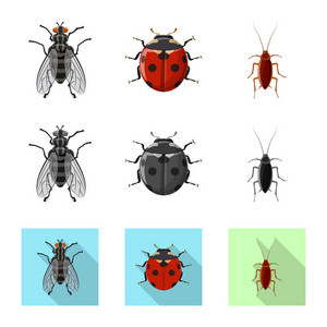 昆虫和飞行标志的向量例证。收集昆虫和元素矢量图标的股票