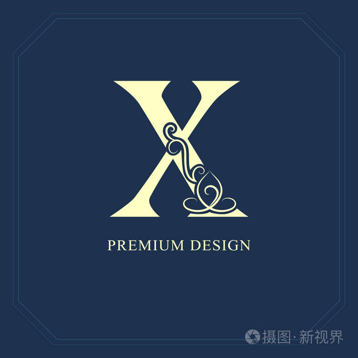 大写字母x书法美丽的标志与胶带的标签优雅的风格老式画徽为图书设计