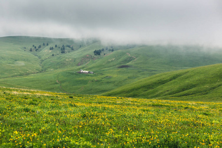 和平的高山风景，绿色的起伏的山丘，黄色的花在草地农场，黑暗的低云在阴郁的夏天。 北高加索山区的乡村景观