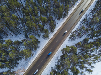 道路的鸟图在冬天风景