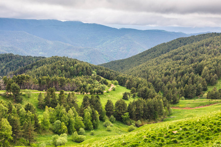 山景有常绿的森林，清新的绿草，肮脏的乡村道路，阴天的乌云。 北高加索山脉的景观。 俄罗斯卡拉凯