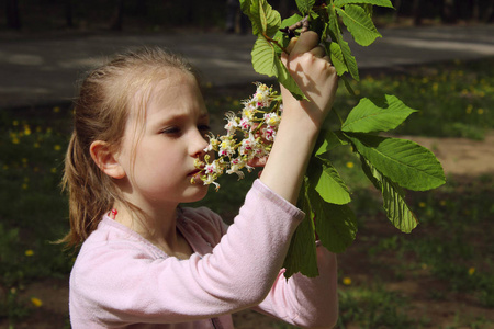 在户外拍摄一个年轻的小女孩。 一个可爱的小女孩嗅着栗子树的花。