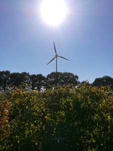 太阳下的风车在绿色的天空中