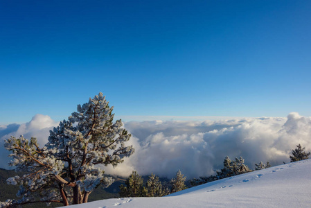 白雪覆盖了群山。 雪中的松树。 蓝天。 厚厚的白云。 海拔高度。 山叫艾皮特里。 克里米亚山。 金属无线电塔。 旅游业。 在克