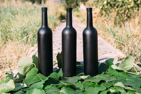 村里的路上，三个黑色的酒瓶站在绿色的葡萄叶上。 后面的花园和房子都被看到了。家庭葡萄酒。
