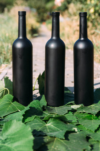 村里的路上，三个黑色的酒瓶站在绿色的葡萄叶上。 后面的花园和房子都被看到了。家庭葡萄酒。
