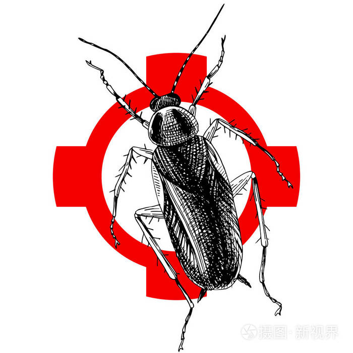 十字上的手绘蟑螂
