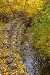 岩石溪银行与网格线和金黄叶子