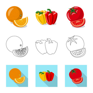 蔬菜和水果图标的向量例证。网站蔬菜和素食股票符号集