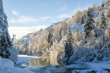 美丽的冬季仙境风景，树木上的雪和冻结的河流在格劳布恩登恩加丁的河流。