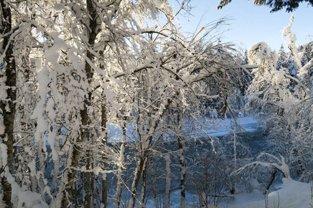 美丽的冬季仙境风景，树木上的雪和冻结的河流在格劳布恩登恩加丁的河流。