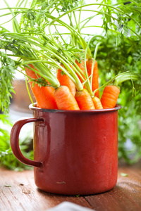 在木桌上的金属杯中，近距离观看新鲜成熟的生胡萝卜