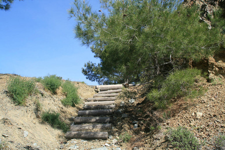 春天阳光明媚的一天，塞浦路斯的特洛伊多斯山上有一棵松树和蓝天的空木步道