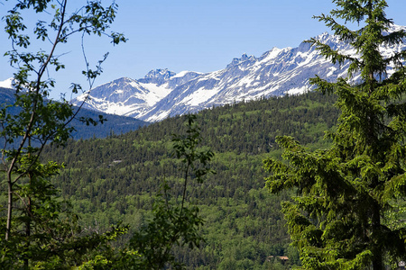 阿拉斯加斯卡格威山脉和风景林景观