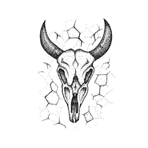 装饰性装饰水牛头骨.印第安人 art.民族素描设计.