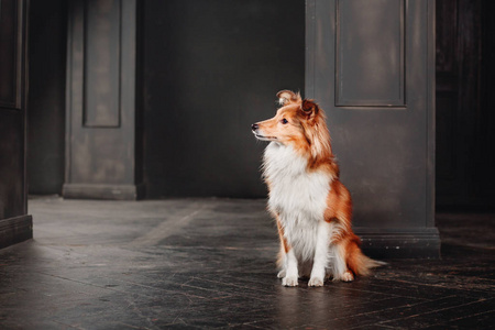 深色可爱壁纸图片