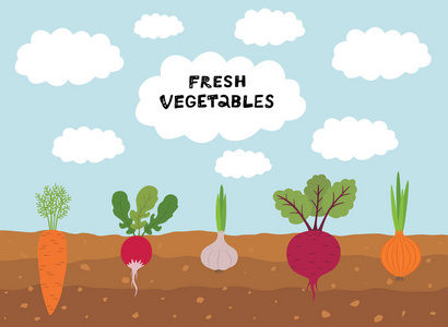 偷拍另类卡通图片