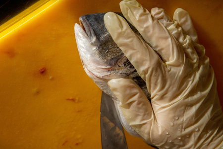 用手套手工在黄色厨房平板上剥鲜多拉多鱼的过程