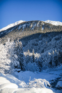 美丽的冬季仙境风景，雪在树上，河流在格劳布恩登恩加丁的山谷中。