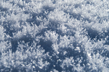 瑞士大自然中的新鲜雪晶