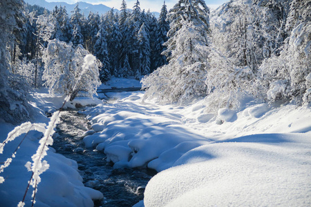 美丽的冬季仙境风景，树木和河流上的雪。