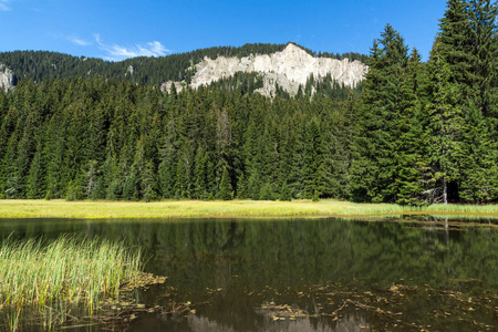 保加利亚罗多普山上的夏景特雷维托斯莫利安湖