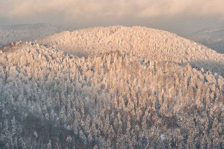 日出时被雪覆盖的森林山峰。 比斯扎迪山。 波兰