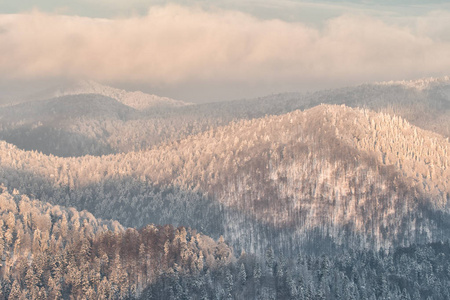 日出时被雪覆盖的森林山峰。 比斯扎迪山。 波兰