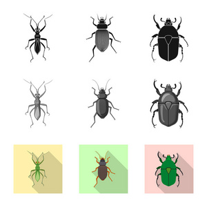 昆虫和飞行符号的孤立对象。网络昆虫和元素股票符号集
