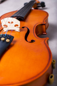 旧橡木小提琴和白色背景。 复古色调的图像。