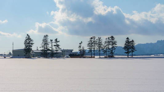 日本北海道道路上积雪的美丽冬季景观