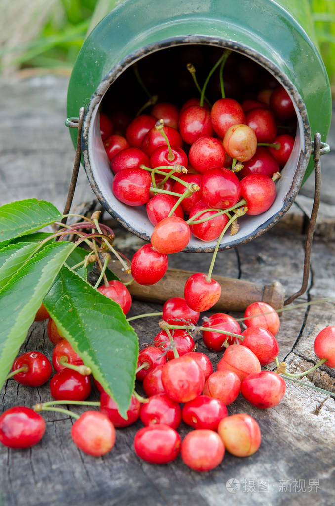 甜樱桃果实铁旧罐选择性聚焦