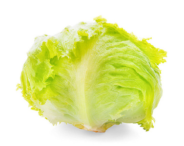 白色背景上的绿色冰山生菜